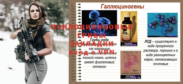 кокс Аркадак