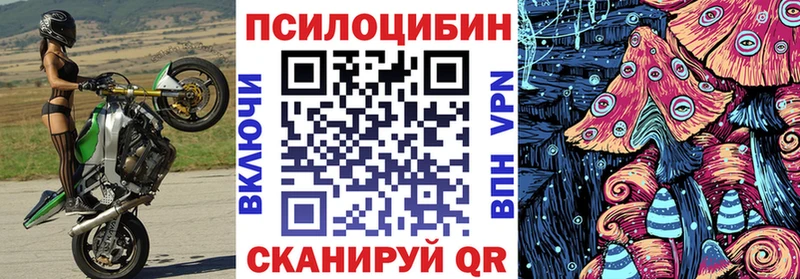 Псилоцибиновые грибы Psilocybine cubensis  купить наркотики цена  Безенчук 